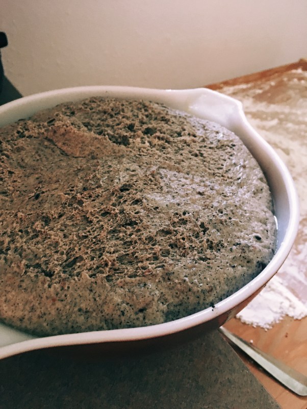 Processed With Darkroom